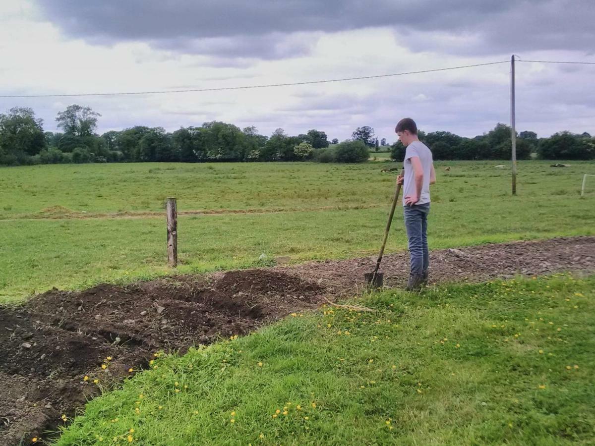 Hotel Castletownmoor Clinic & Permaculture Farm à Kells  Extérieur photo