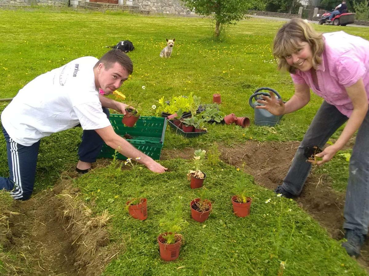 Hotel Castletownmoor Clinic & Permaculture Farm à Kells  Extérieur photo